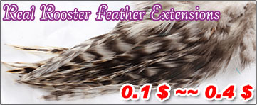 Real Rooster Feather