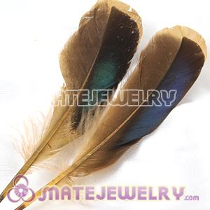 Wholesale Natural Duck Grey Loose Feather Hair Extensions 
