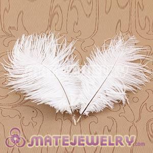 Wholesale White Plumes Big Flake Ostrich Feather Hair Extensions 